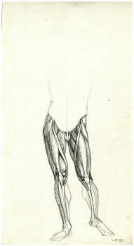 Visualizza l'immagine "FD D 922 v."